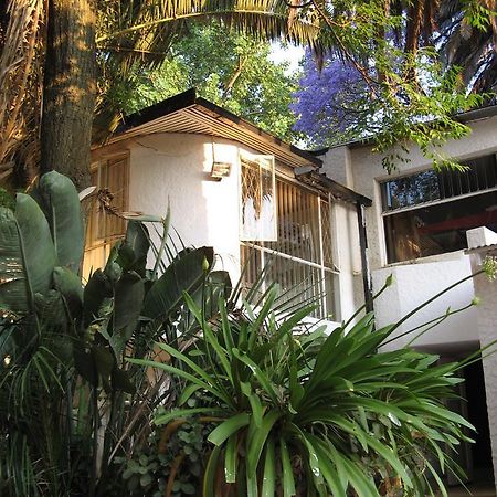 Rosebank Hostel Johannesburg Buitenkant foto